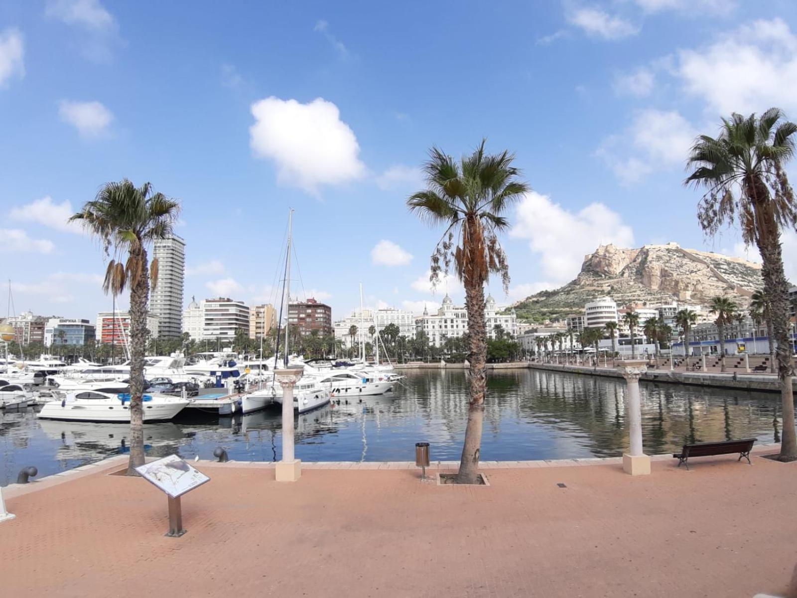 Apartamento Grande-Centro Barrio Playa Alicante Bagian luar foto